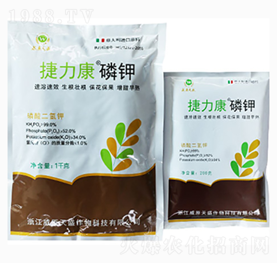 ��������-������-��ԭ��ʢ