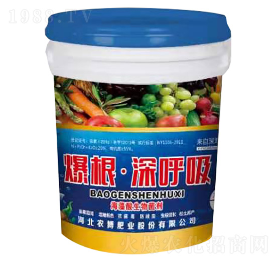 �������������-�����������-�r(n��ng)���ʘI(y��)