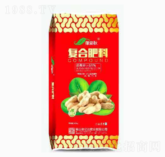 �ͺϷ���-������-���|�_�ʘI(y��)