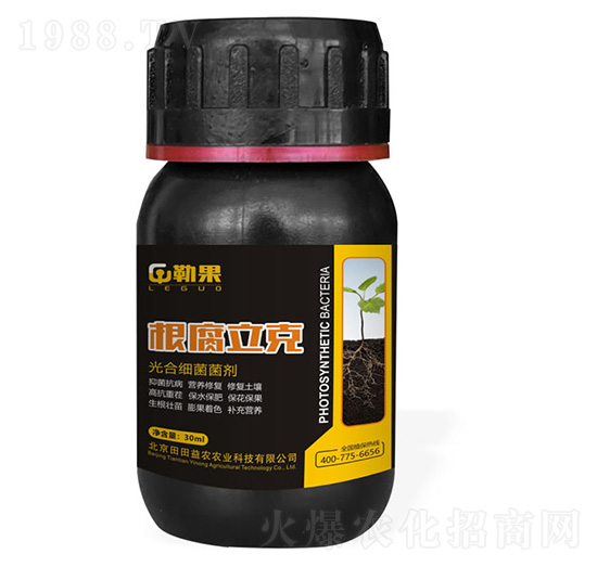 ��ϼ�(x��)������-��������-�չ�-�������r(n��ng)