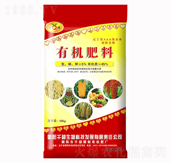 �ЙC����-ǧԽ