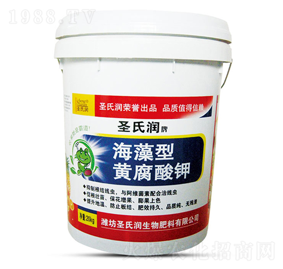 �������S�����-ʥ�ϝ�