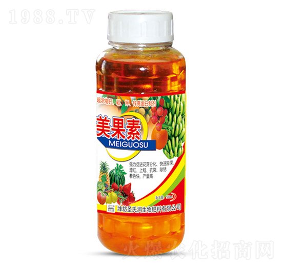 ������-ʥ�ϝ�