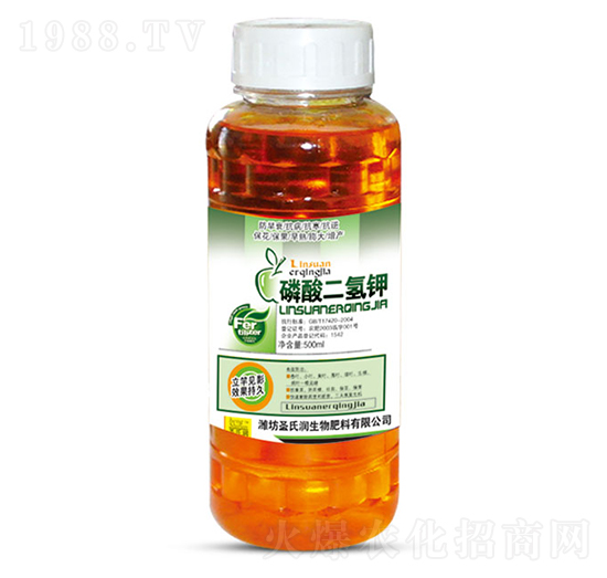 ��������-ʥ�ϝ�