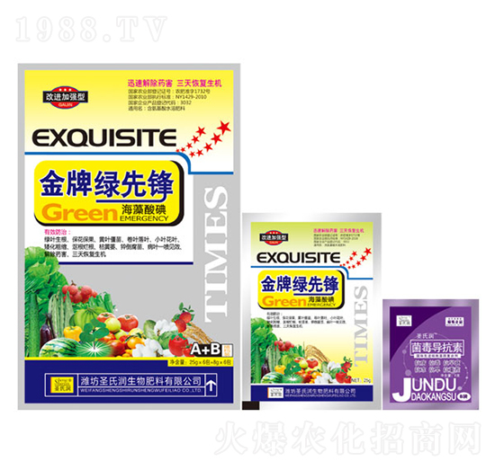 ���ƾG���h-ʥ�ϝ�