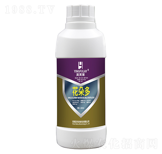 �����-Ӣܽ�R-���A����