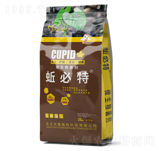 ΢�������-�Ǳ���-���ֲ��