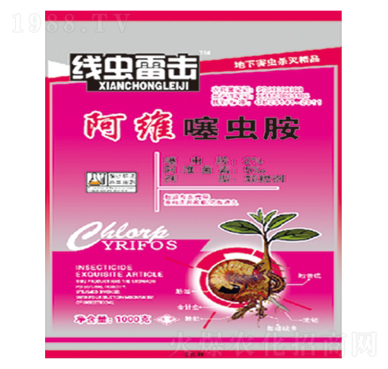 ���S���x(ch��ng)��-���x(ch��ng)�ד�-��������