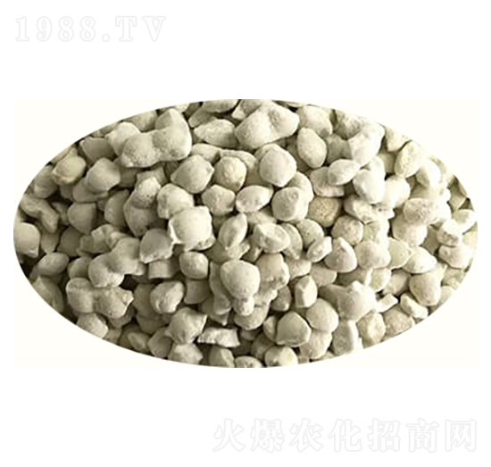 �D�����၆�F�w��-�߸�