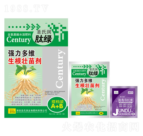 ������S�������焩����n�bA+B��-ʥ�ϝ�