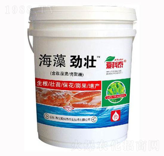 ����ŉ�-��(��i)��̩