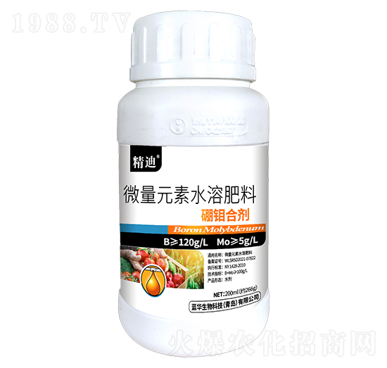 ���f�τ�-����-�{(l��n)�A����