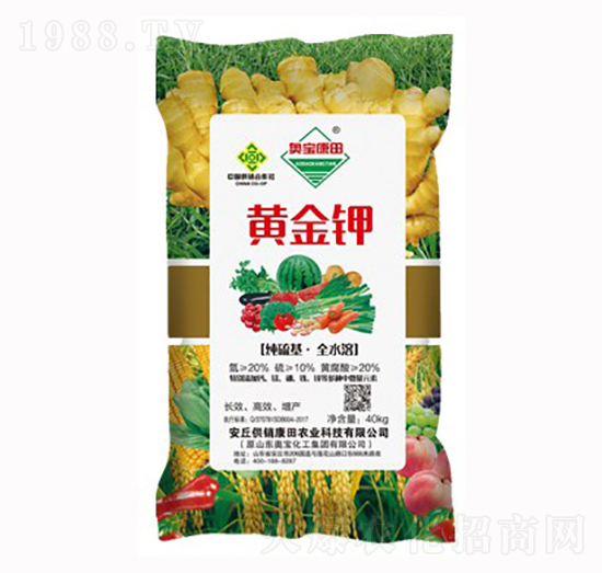 �S���-���N����