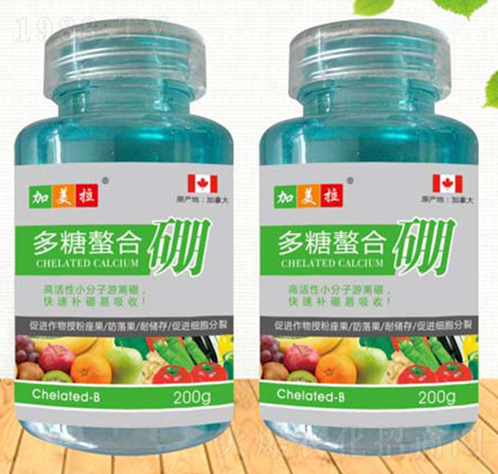 ����������-������