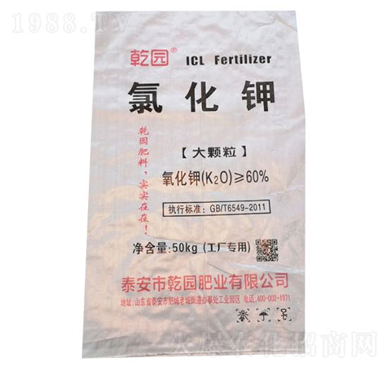 ���w���Ȼ��-Ǭ�@