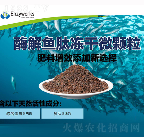 ø���~(y��)�ă���΢�w��-��������