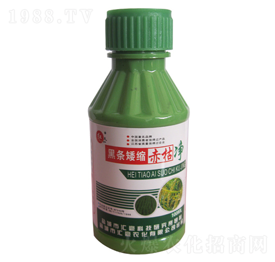 �ڗl���s��݃�-�R���r��