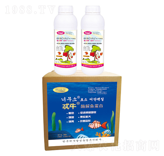 ø���~(y��)����-߯ţ-�A��