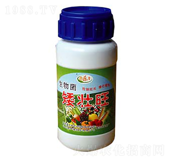 �����������-ϲ���S�r(n��ng)�I(y��)