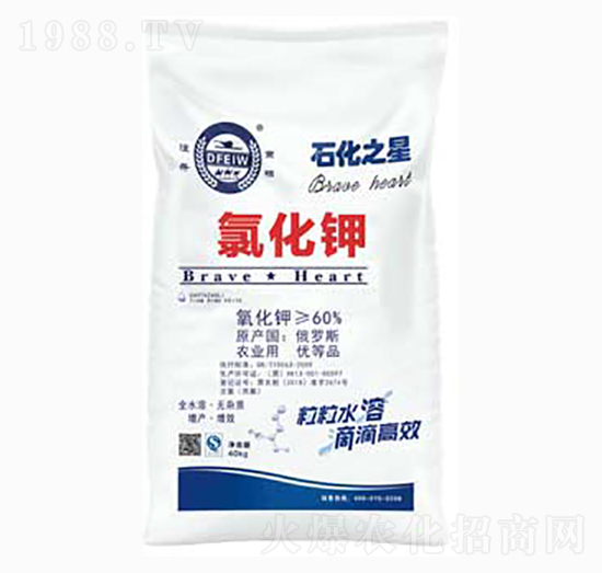 �Ȼ��-ʯ��֮��-�춦