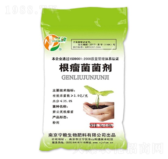 ����������-���Z����