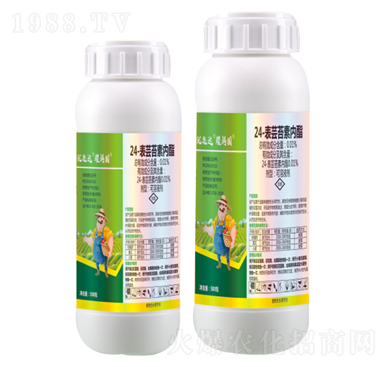 24-���|̦�؃�(n��i)������Һ��-ҫ�M�@-��(y��u)���_