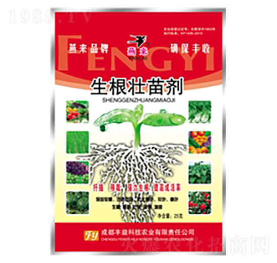 �������焩25��-�S��