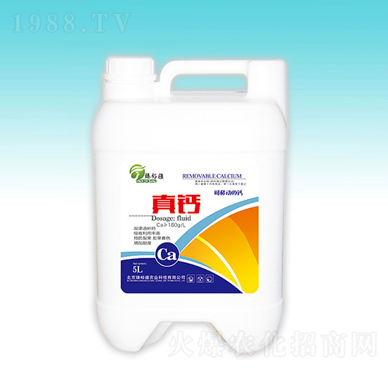 ���}-��ԣ��