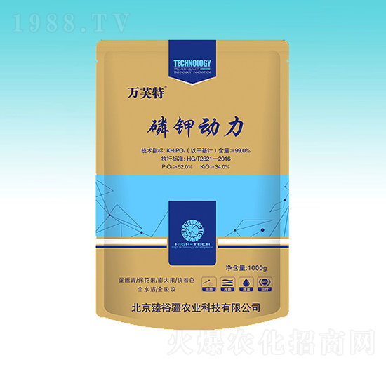 ��⛄���-��ԣ��