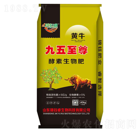 ���������-�\��