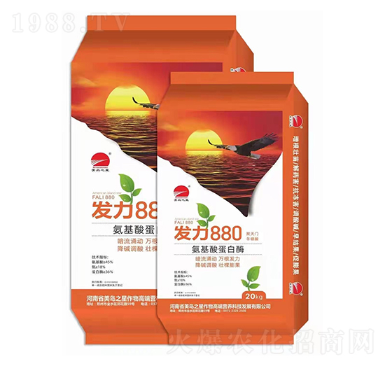 �����ᵰ��ø-�l(f��)��880-���u֮��