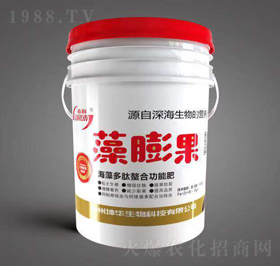 ����������Ϲ��ܷ�-�����-���A����