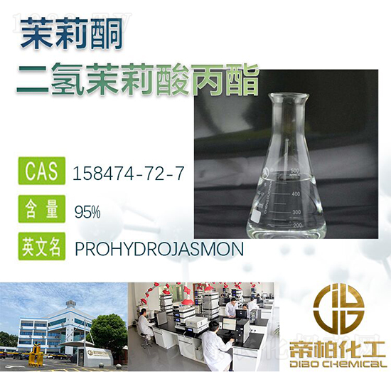 �������������-�R��ͪ-�۰ػ���