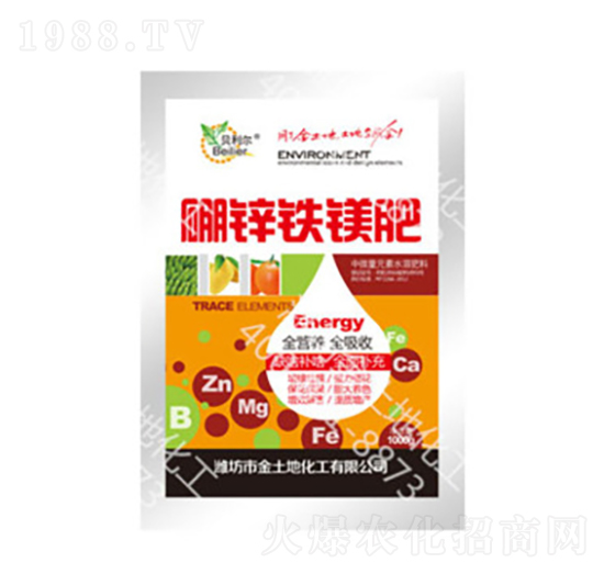 ���\�F�V��-������