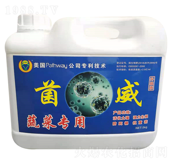 �������߲ˌ��ã�-��������