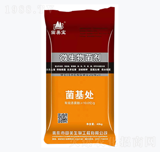 ΢�������-����̎-��������