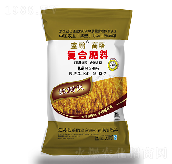 ��������͏�(f��)�Ϸ���25-13-7-�{�i�ʘI(y��)