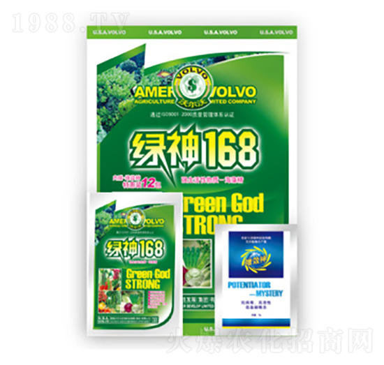 �G��168-������