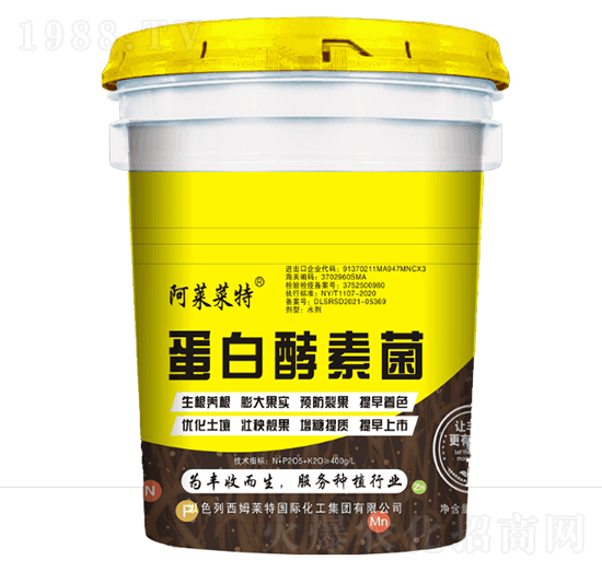 ���׽��ؾ�-��ķ�R��