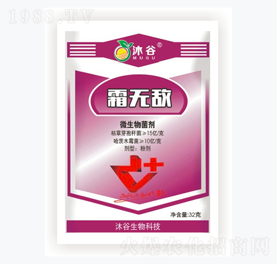 ΢�������-�������