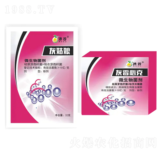 ΢�������-�ҹ���-�������