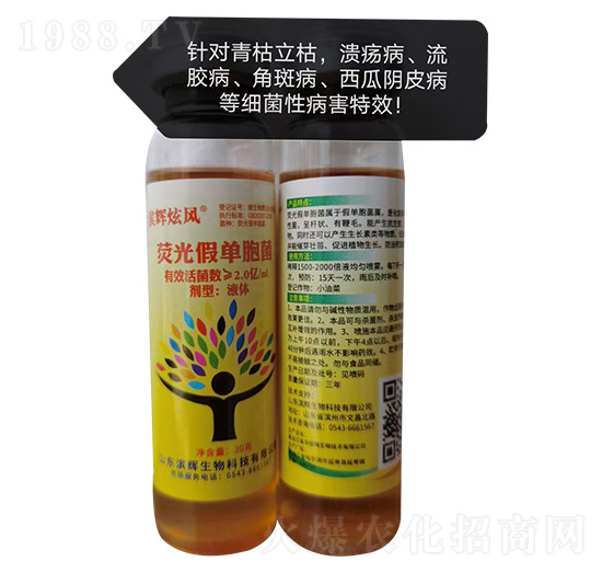 �ɹ�نΰ���-�I�x���L-�I�x����