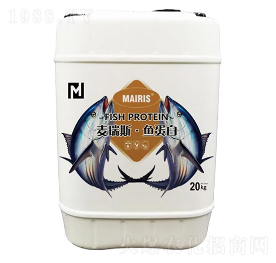 ����˹���~����-����˹