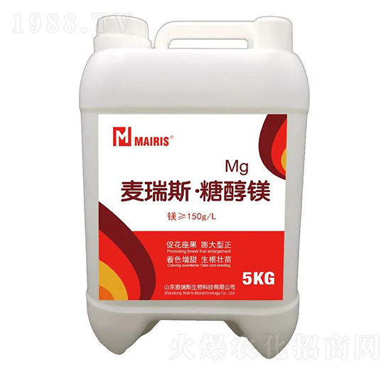 ����˹���Ǵ��V-����˹