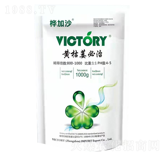 �S��ή����-���ɳ-�S������