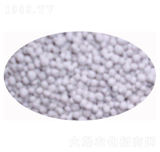 �ͺϷ�-�SԪ����