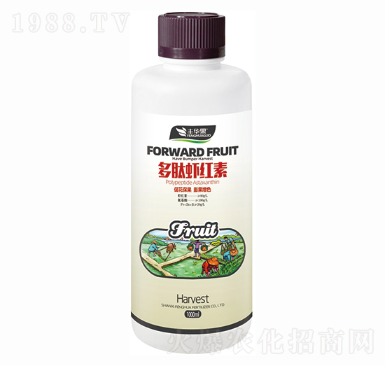 �����r�t��-�S�A��-�S�A�ʘI(y��)