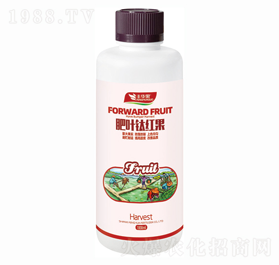 ���~⁼t��-�S�A��-�S�A�ʘI(y��)