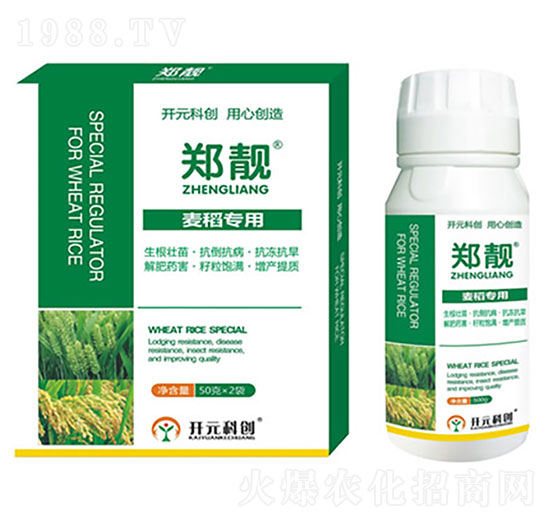 ������(zhu��n)��-���n-����ֲ��