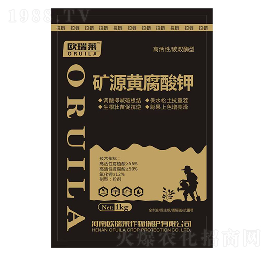 �VԴ�S�����-�W���R